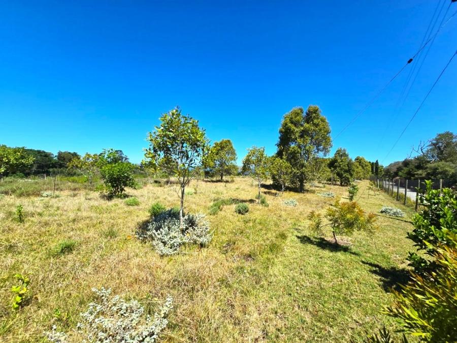 Commercial Property for Sale in Hoekwil Western Cape